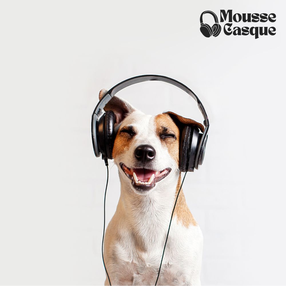 Mousse pour casque audio